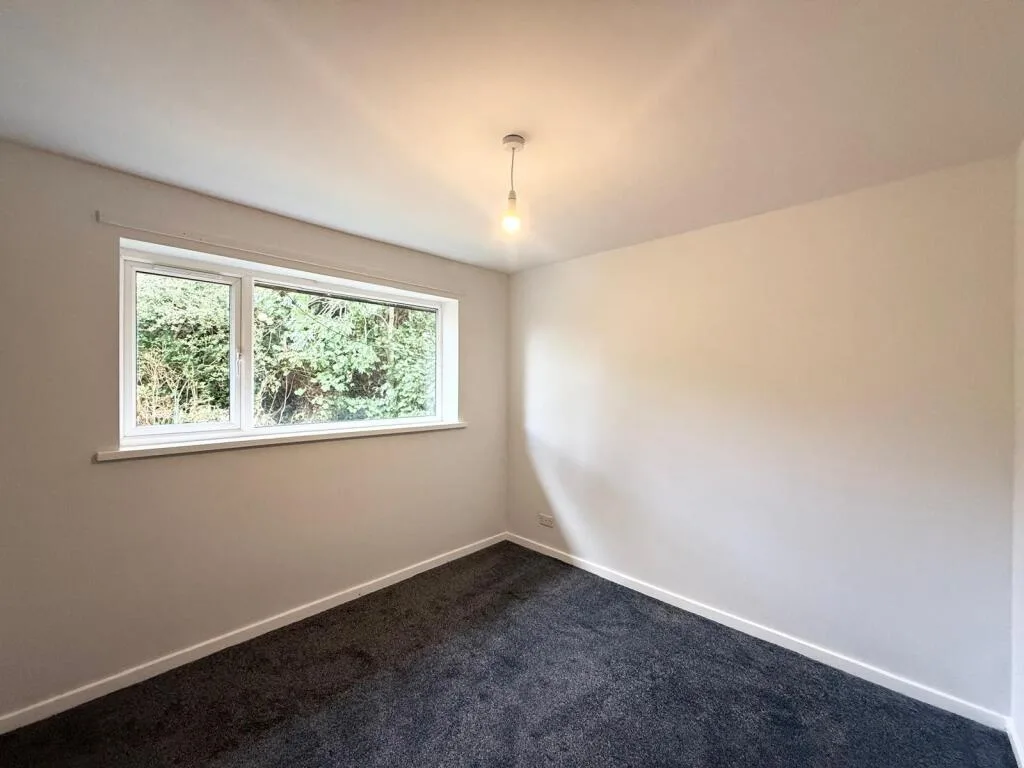 3 bedroom house for rent