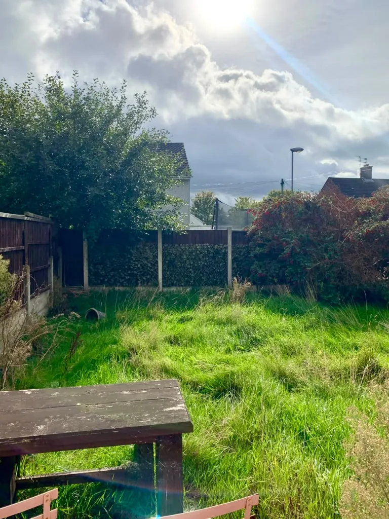 2 bedroom semi-detached house for rent