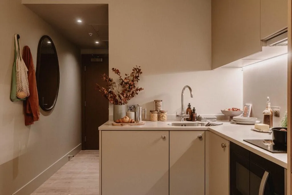 1 bedroom apartment for rent