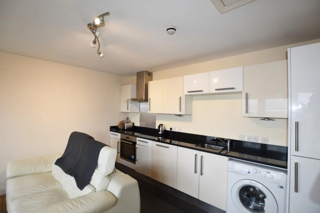 1 bedroom apartment for rent