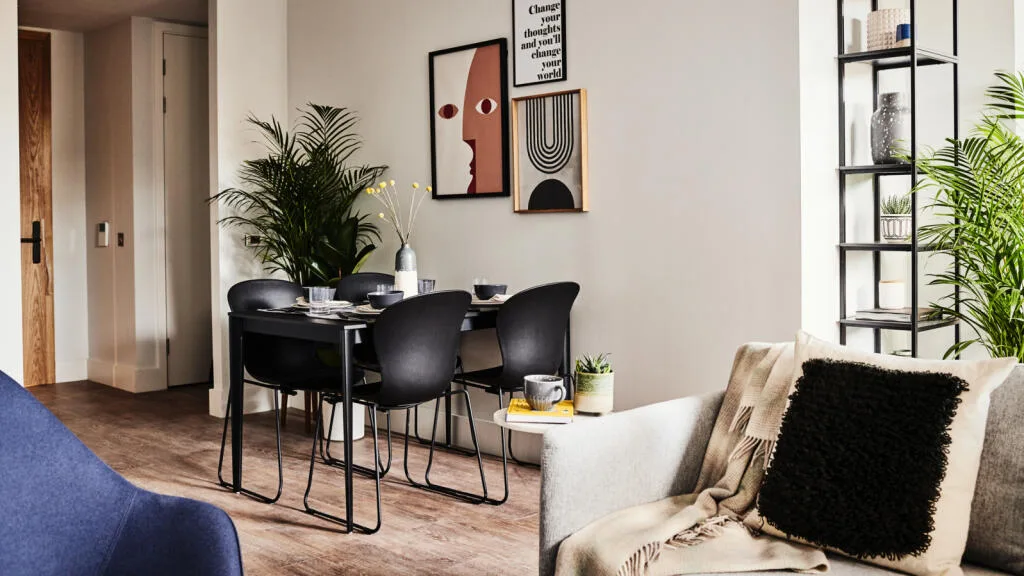 1 bedroom apartment for rent