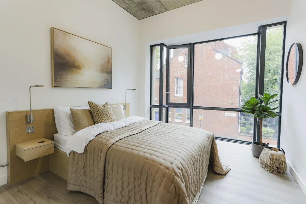 1 bedroom flat for rent