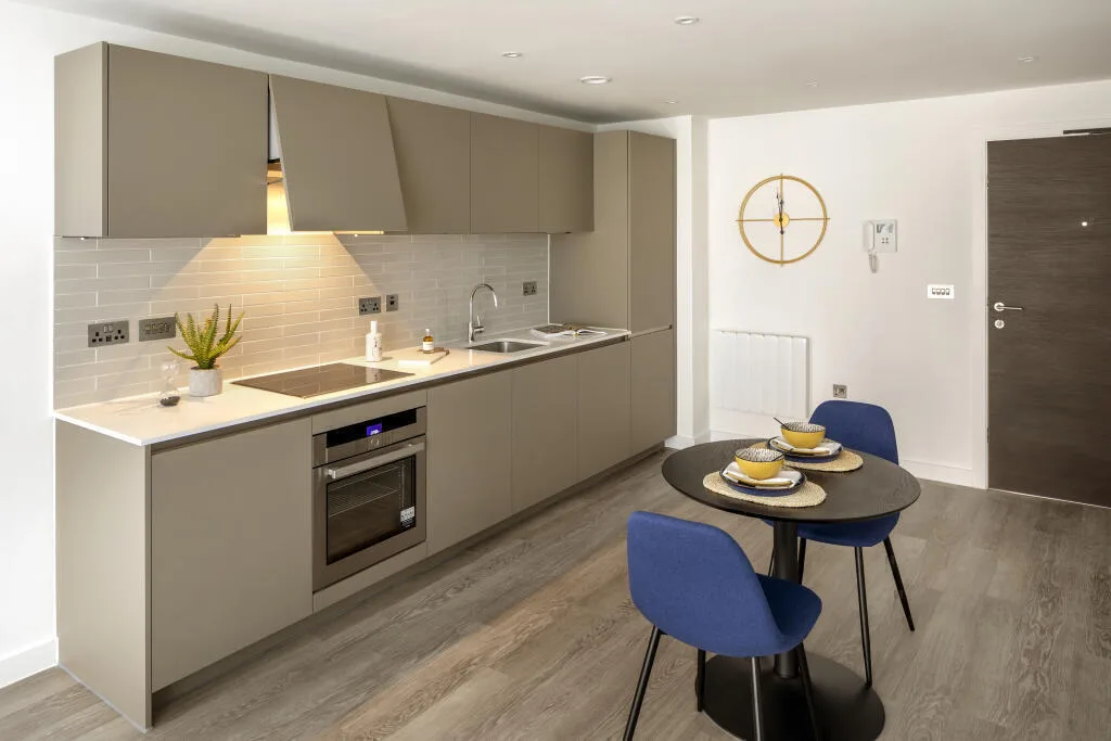 1 bedroom apartment for rent