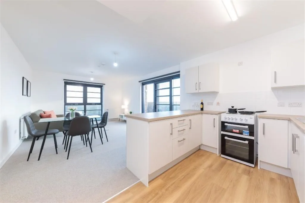 1 bedroom flat for rent
