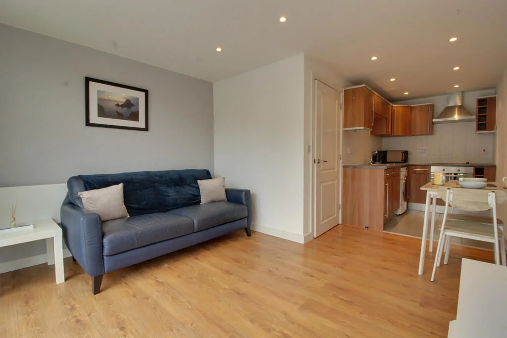 1 bedroom apartment for rent