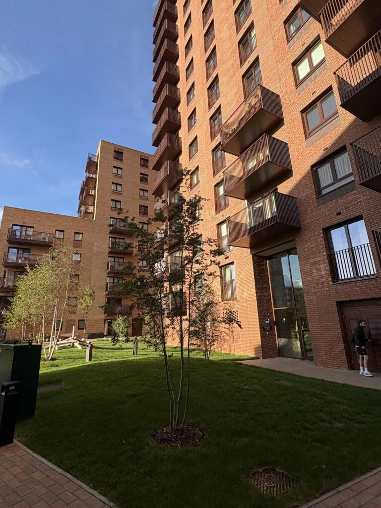 1 bedroom flat for rent
