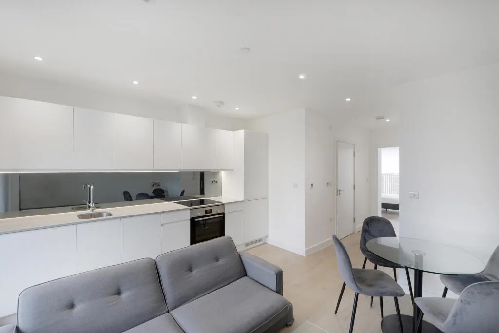 1 bedroom apartment for rent