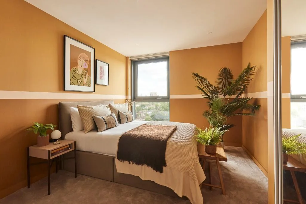 2 bedroom flat for rent