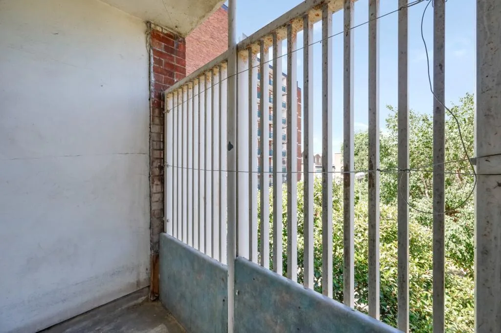 4 bedroom flat for rent