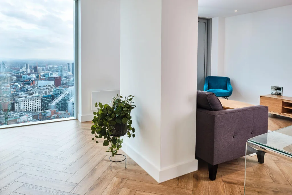 1 bedroom flat for rent