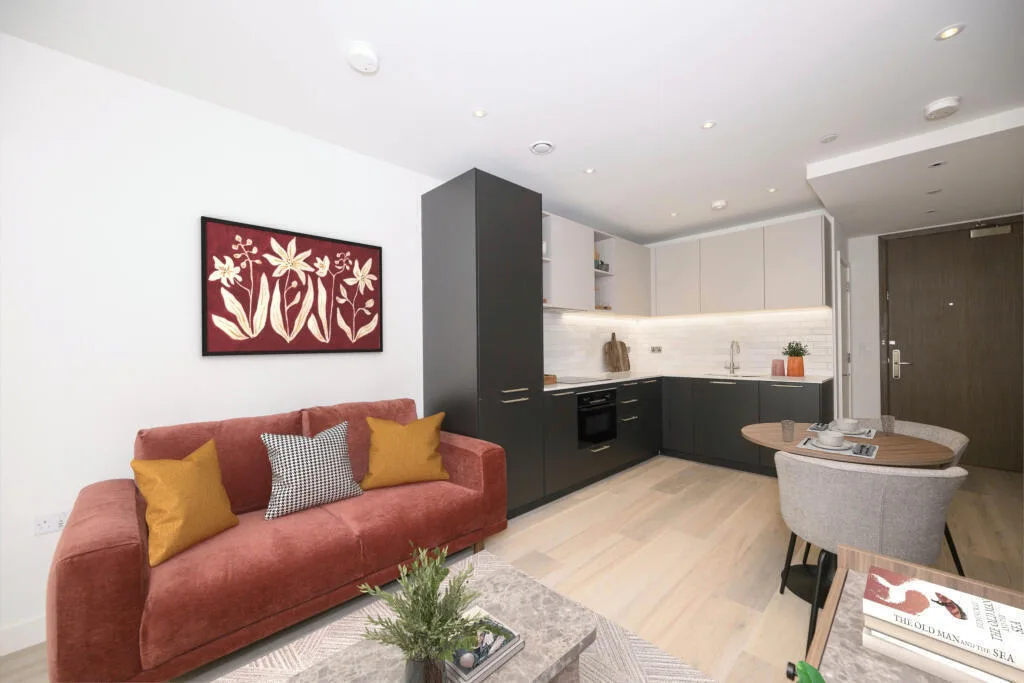 1 bedroom apartment for rent