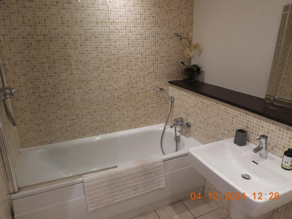 1 bedroom apartment for rent