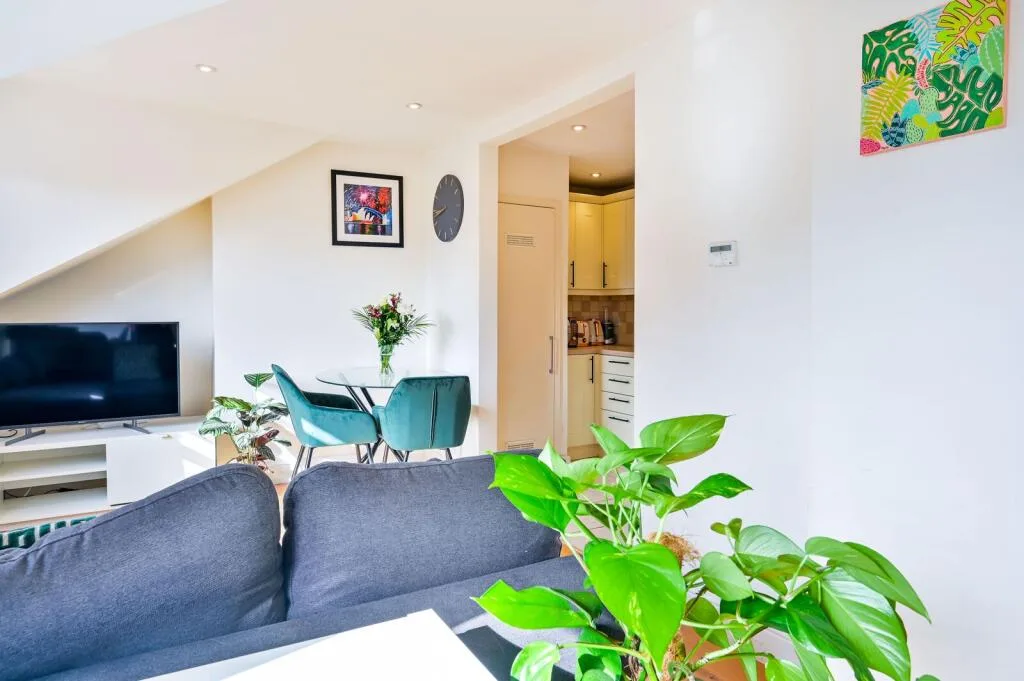 1 bedroom flat for rent