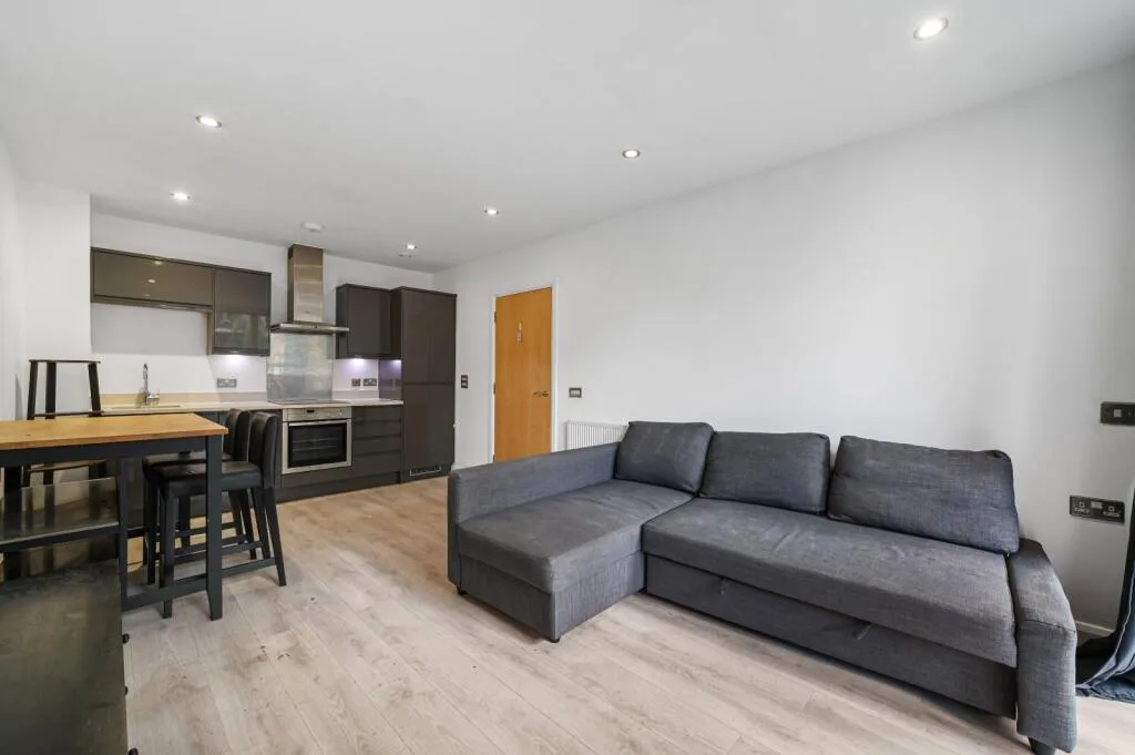 1 bedroom apartment for rent