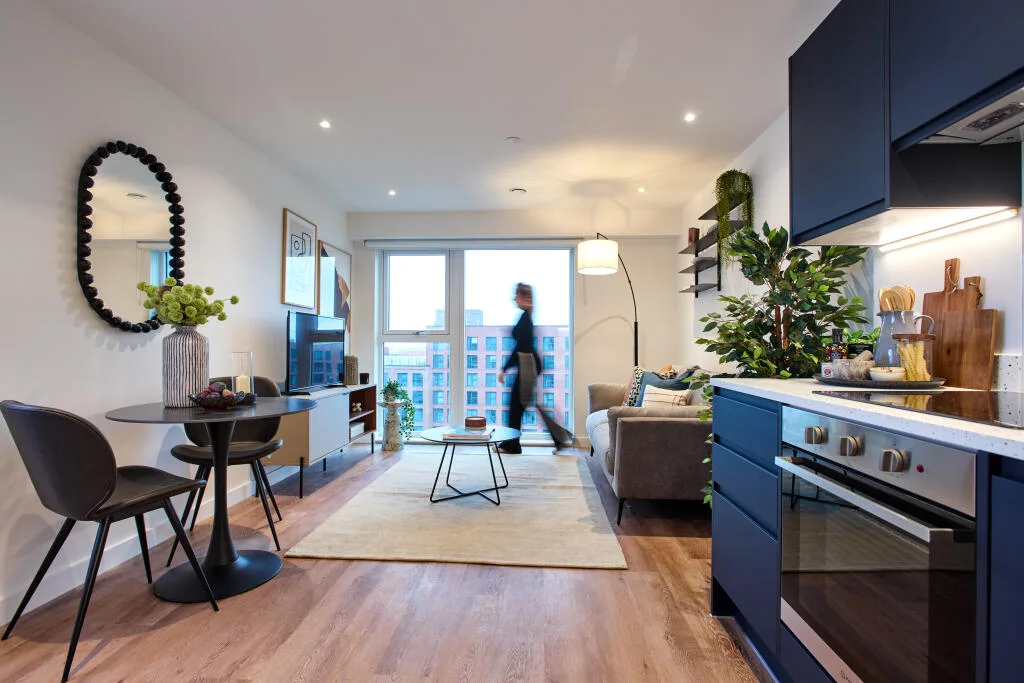 1 bedroom apartment for rent