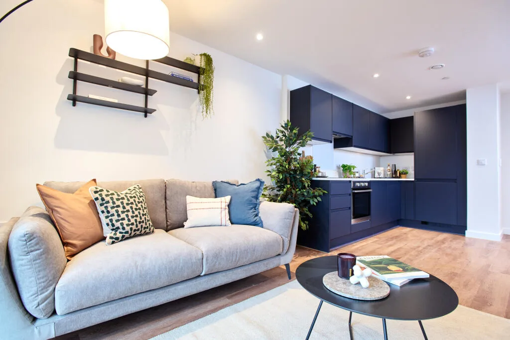 1 bedroom apartment for rent