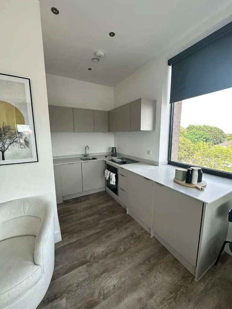1 bedroom apartment for rent
