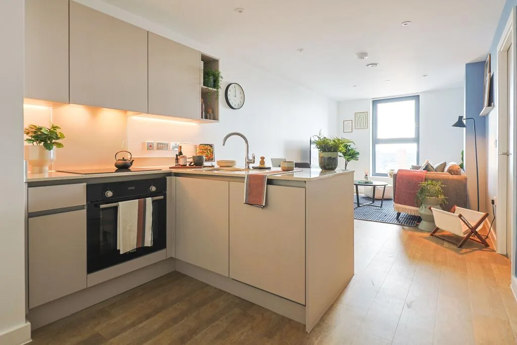 1 bedroom apartment for rent