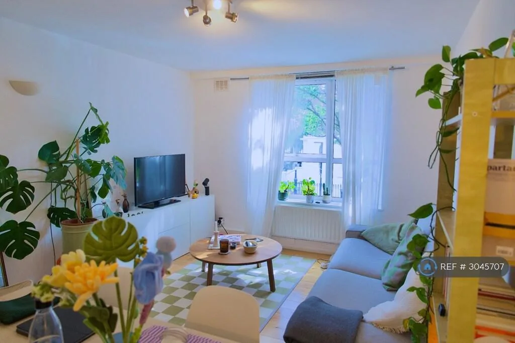1 bedroom flat for rent