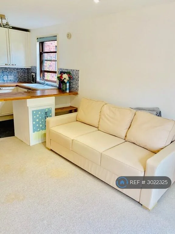 Studio flat for rent