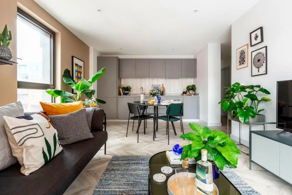 2 bedroom apartment for rent