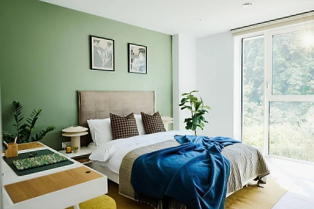 1 bedroom apartment for rent