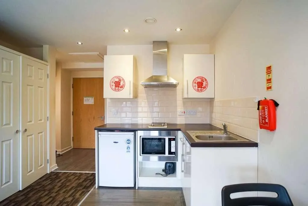 Studio flat for rent