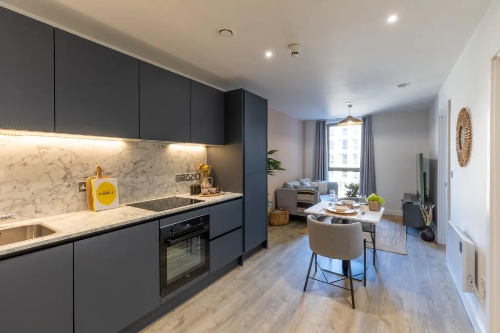 1 bedroom apartment for rent