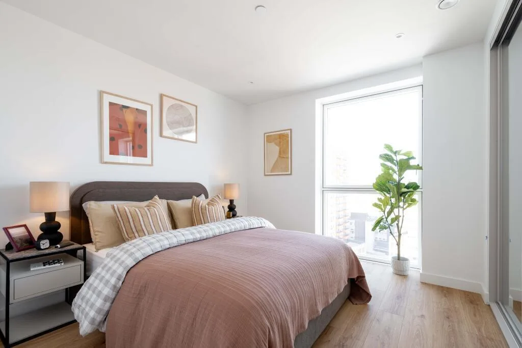 1 bedroom apartment for rent