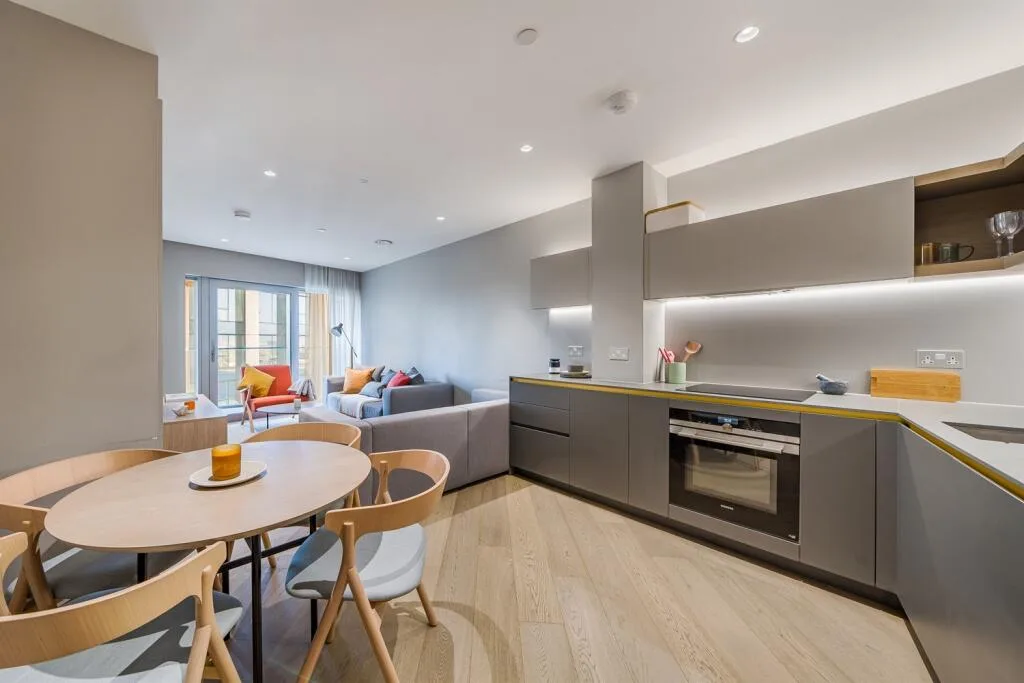 1 bedroom apartment for rent