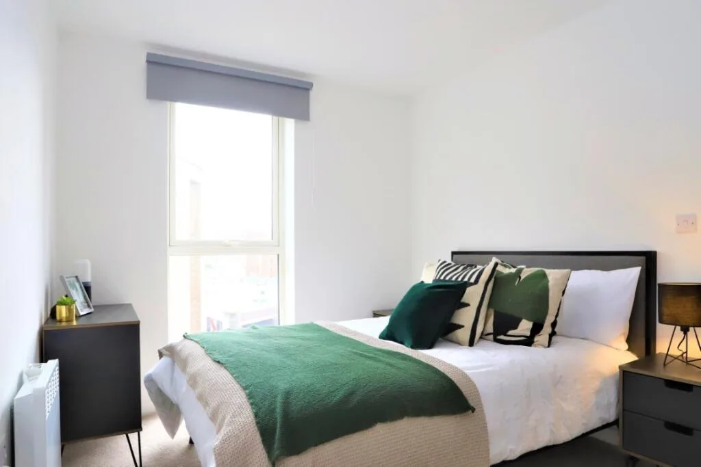 1 bedroom apartment for rent