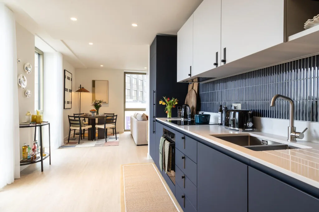 1 bedroom apartment for rent