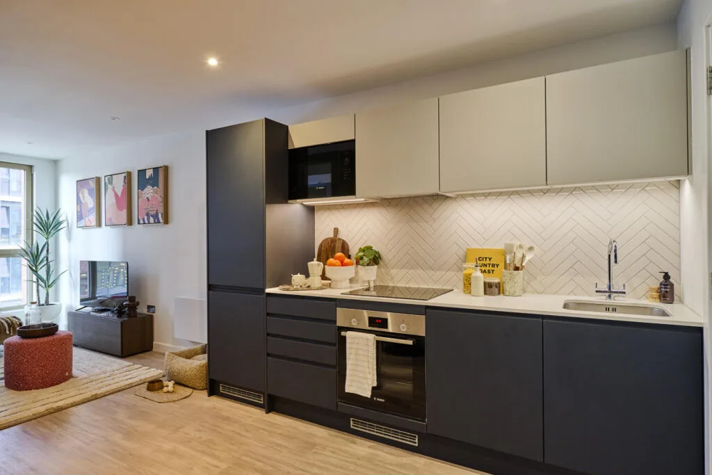 1 bedroom apartment for rent