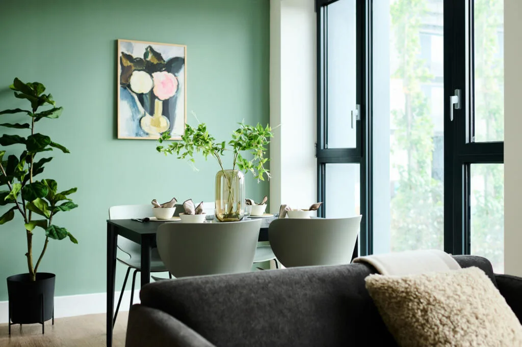 1 bedroom apartment for rent