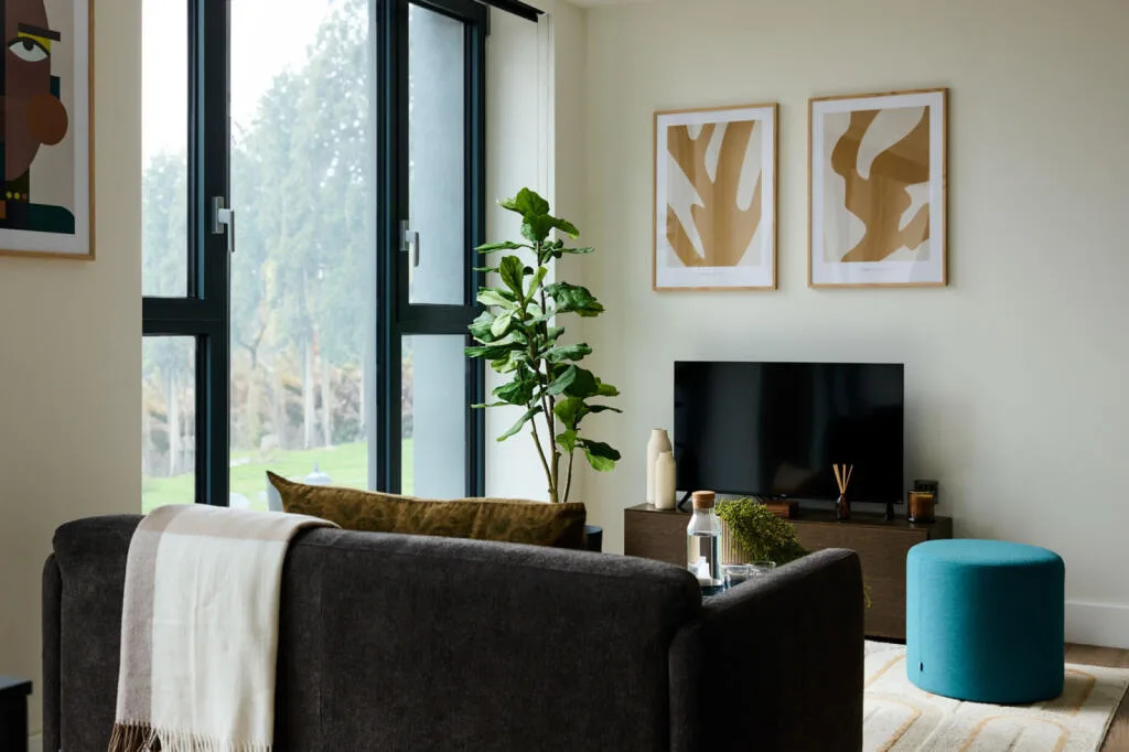 1 bedroom apartment for rent