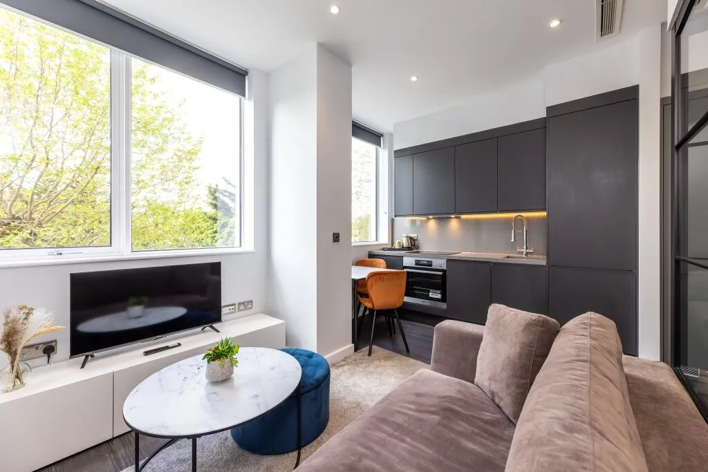 1 bedroom apartment for rent
