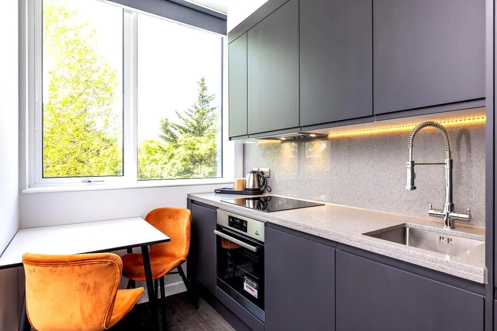 1 bedroom apartment for rent