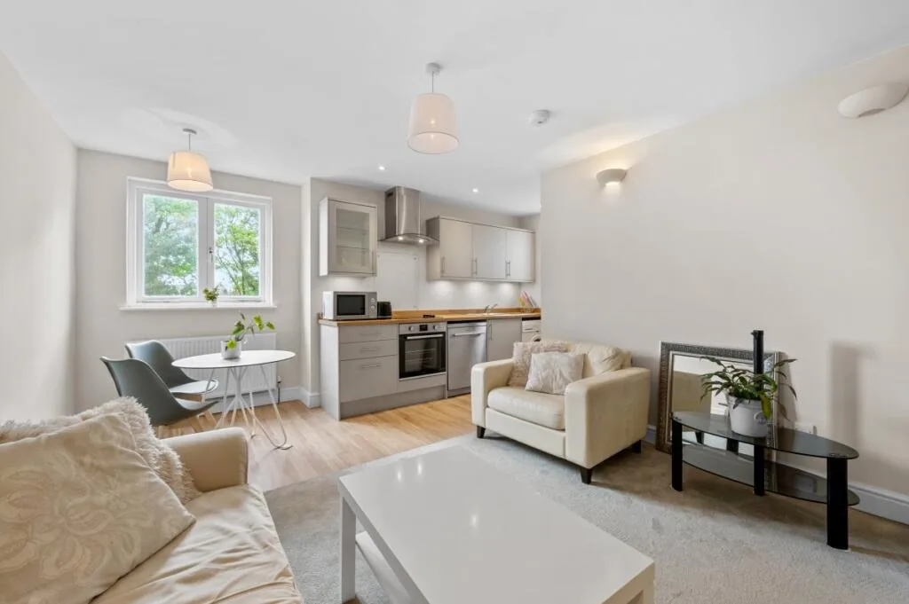 1 bedroom apartment for rent