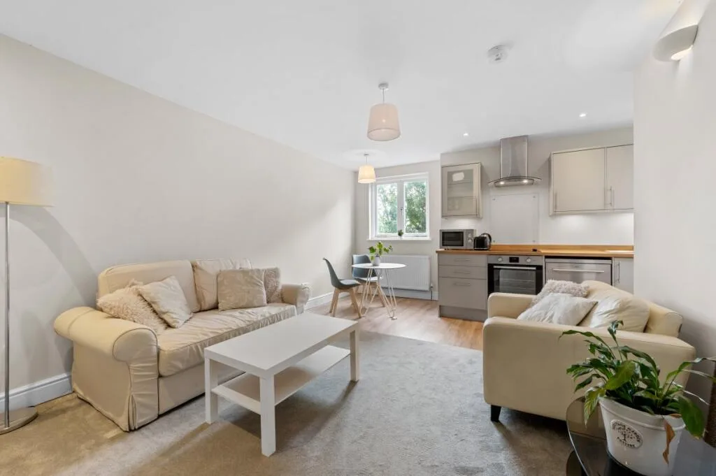 1 bedroom apartment for rent