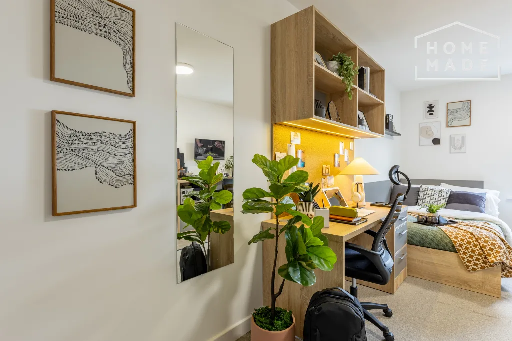 Studio flat for rent