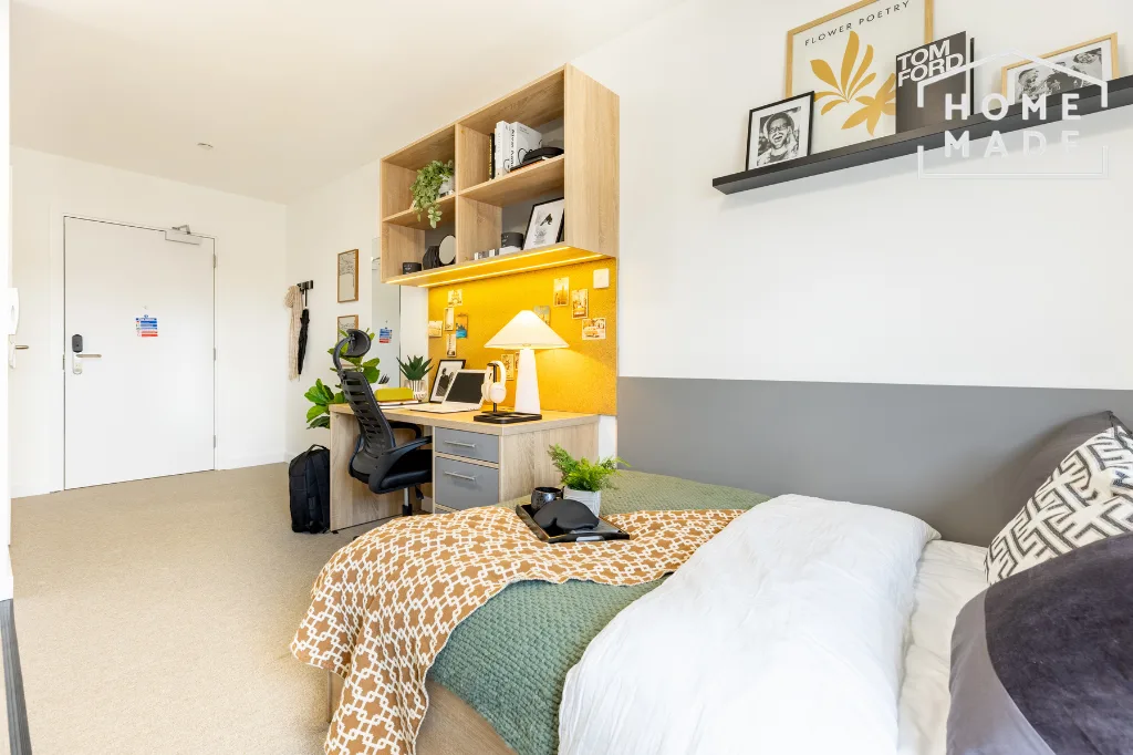 Studio flat for rent
