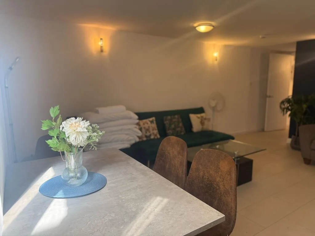1 bedroom flat for rent