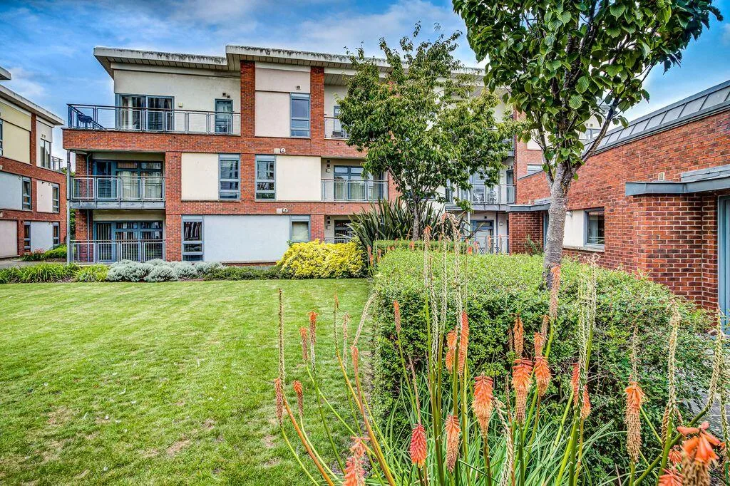1 bedroom apartment for rent