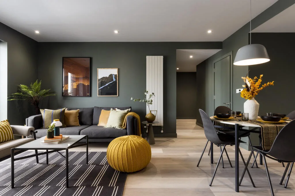 1 bedroom apartment for rent