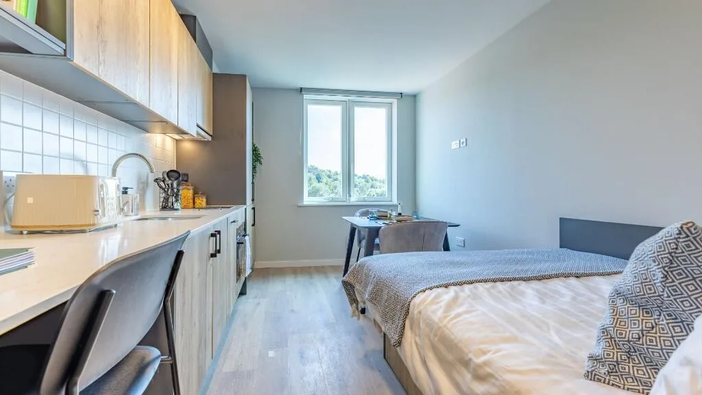 Studio flat for rent