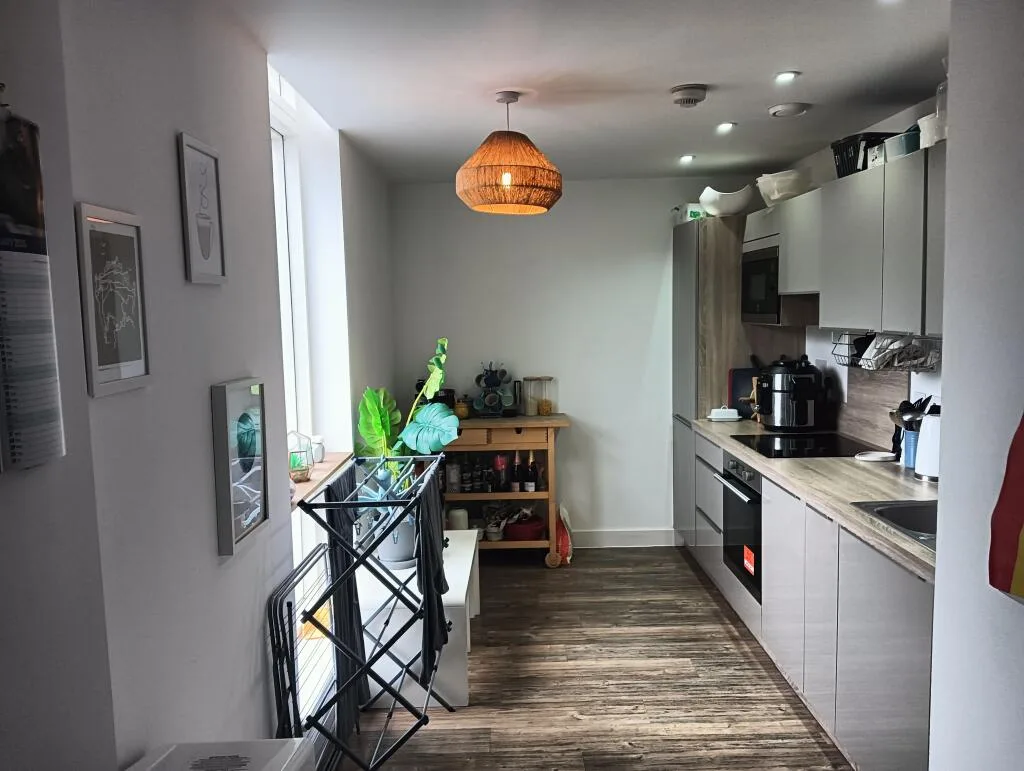 1 bedroom apartment for rent