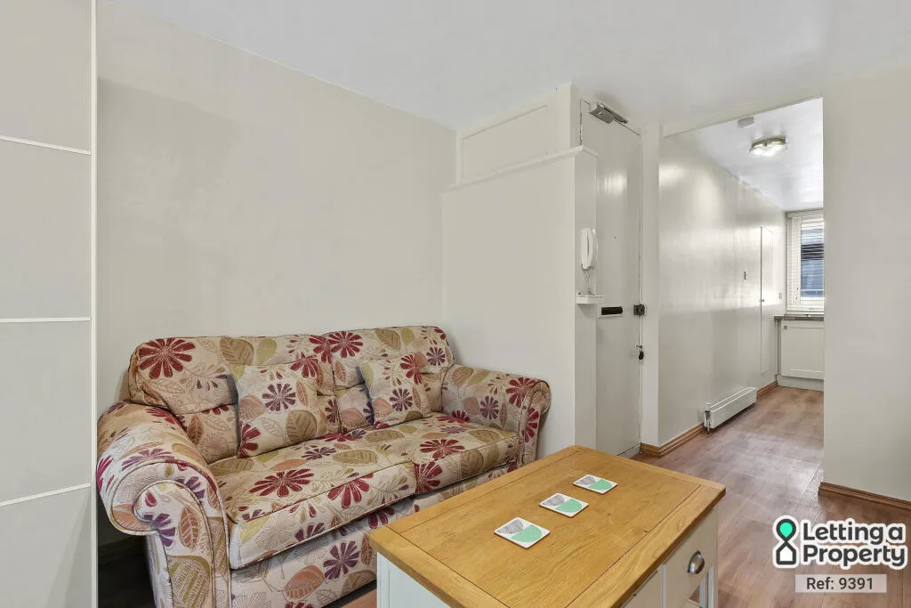 1 bedroom apartment for rent