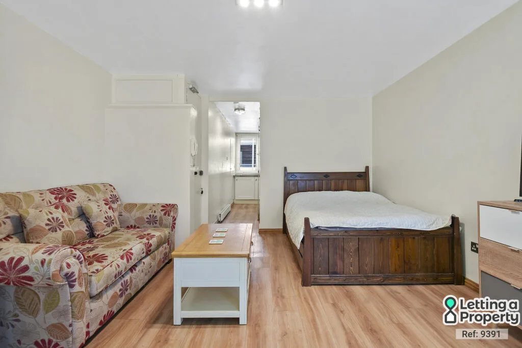 1 bedroom apartment for rent