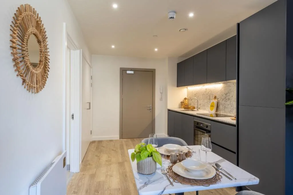 1 bedroom apartment for rent