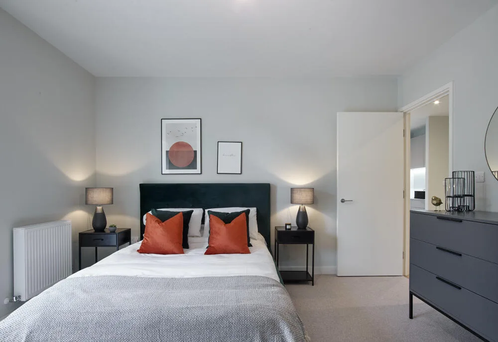 1 bedroom apartment for rent
